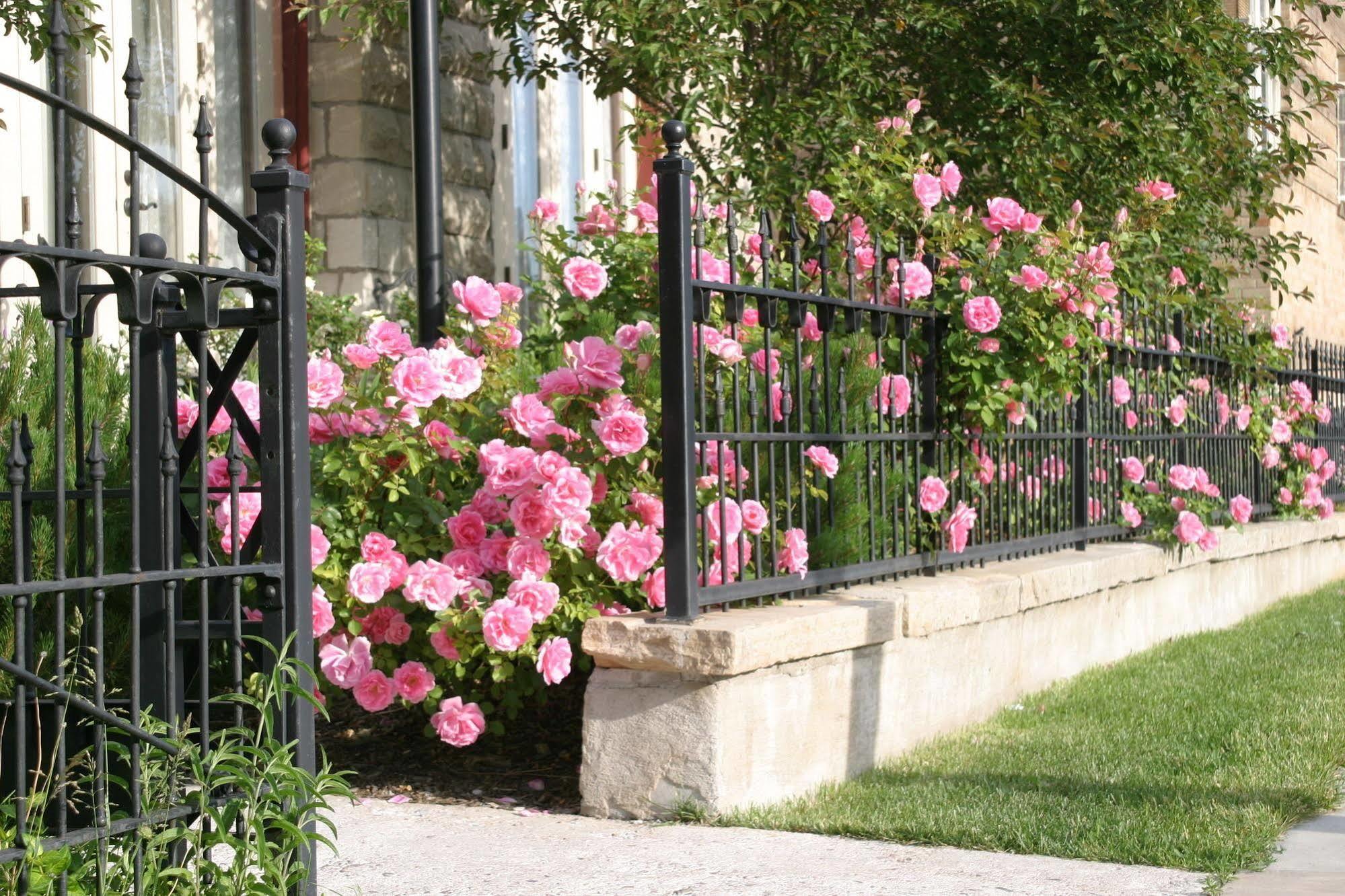 Nagle Warren Mansion B&B Cheyenne Luaran gambar